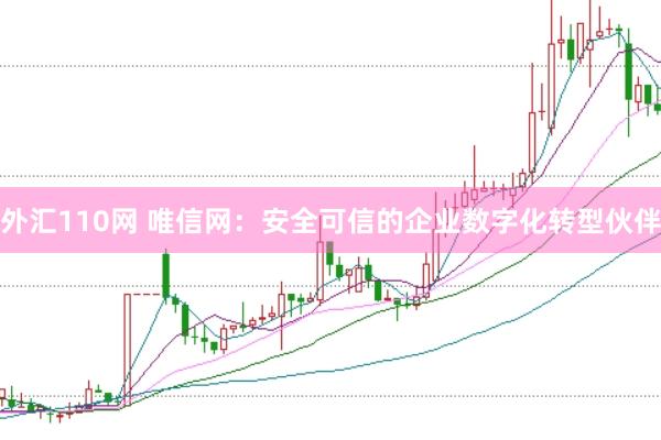 外汇110网 唯信网：安全可信的企业数字化转型伙伴